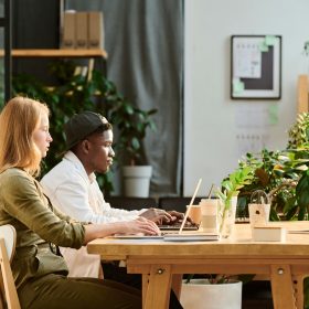 Two young multicultural coworkers in casualwear looking at laptop screens